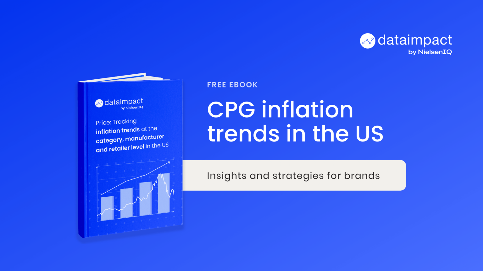 thumbnail ebook cpg inflation trends in the US